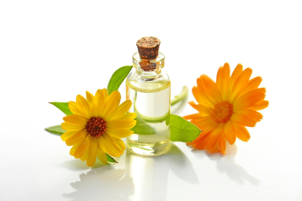 Hot Season, Hotter Sales: Summer Scents Your Private Label Shouldn’t Miss