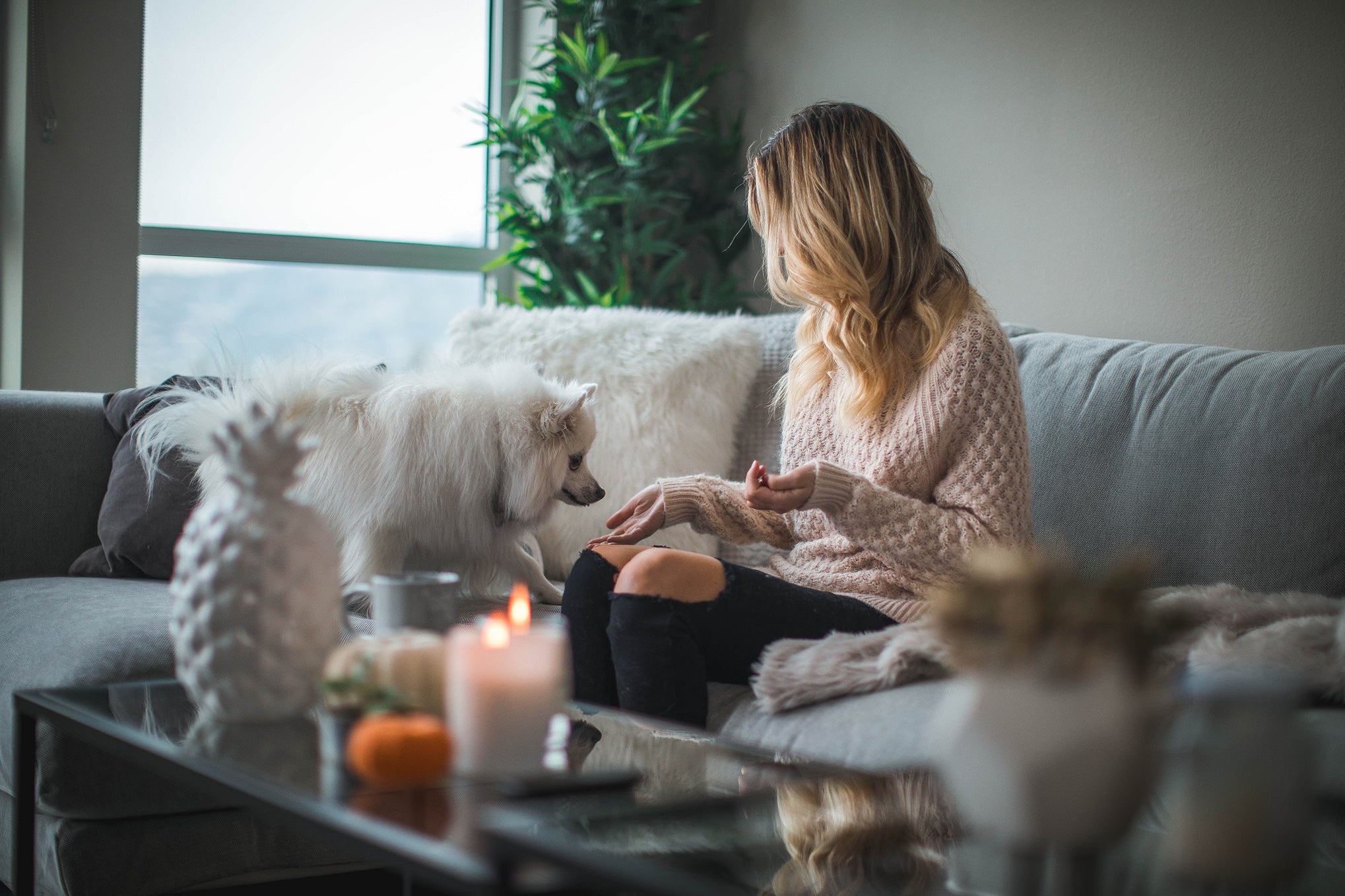 9-scents-that-will-make-your-home-smell-like-a-hotel-lobby-light-4-life