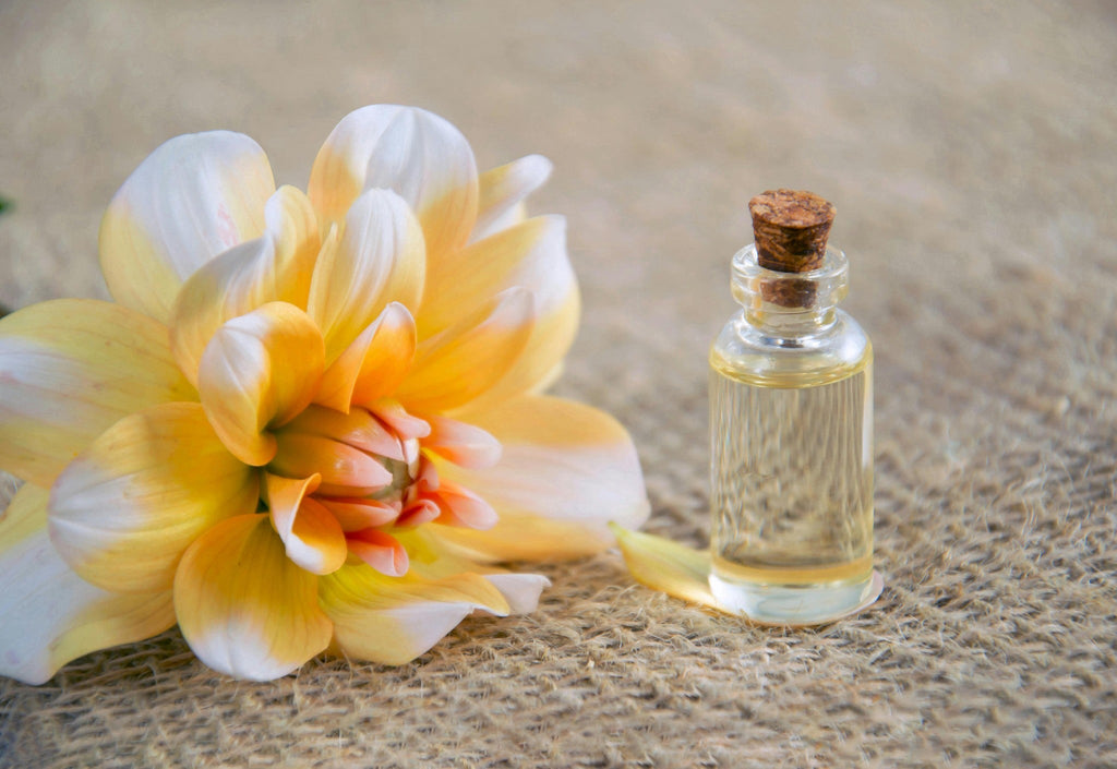 Why August Is The Best Time To Start Your Private Label Fragrance Line